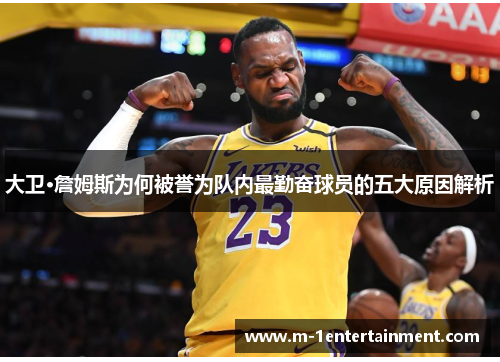 大卫·詹姆斯为何被誉为队内最勤奋球员的五大原因解析