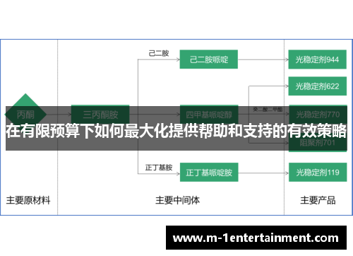 在有限预算下如何最大化提供帮助和支持的有效策略