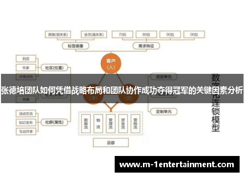 张德培团队如何凭借战略布局和团队协作成功夺得冠军的关键因素分析