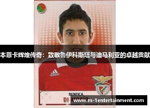 本菲卡辉煌传奇：致敬鲁伊科斯塔与迪马利亚的卓越贡献