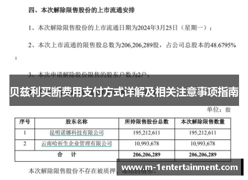 贝兹利买断费用支付方式详解及相关注意事项指南