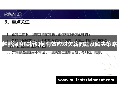 赵鹏深度解析如何有效应对欠薪问题及解决策略
